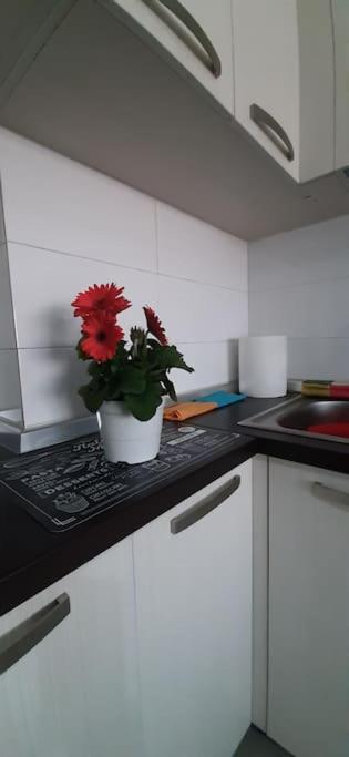 Gold Key Apartments, Durres Beach Esterno foto
